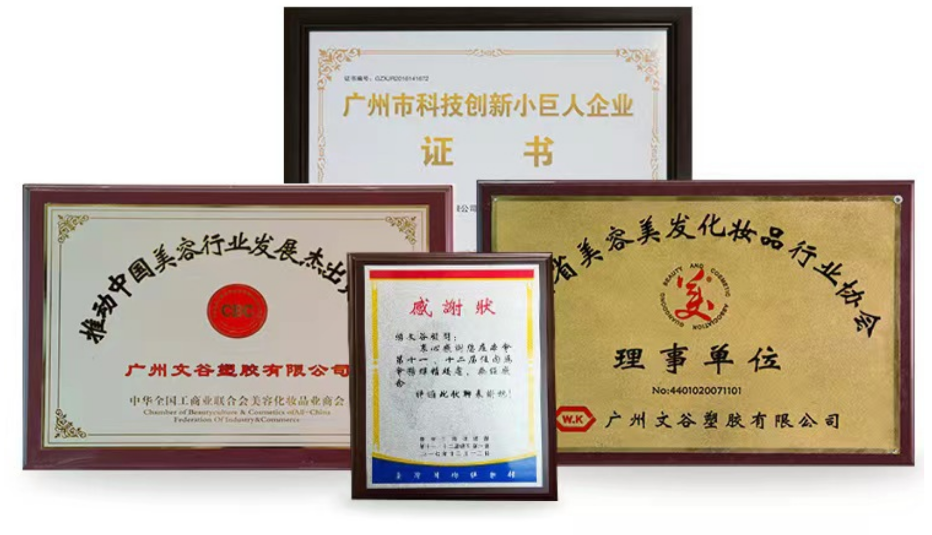 Company Certification